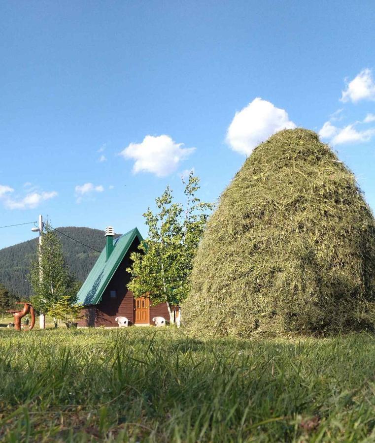 Etno Koliba Nikoleta Villa Žabljak Eksteriør bilde